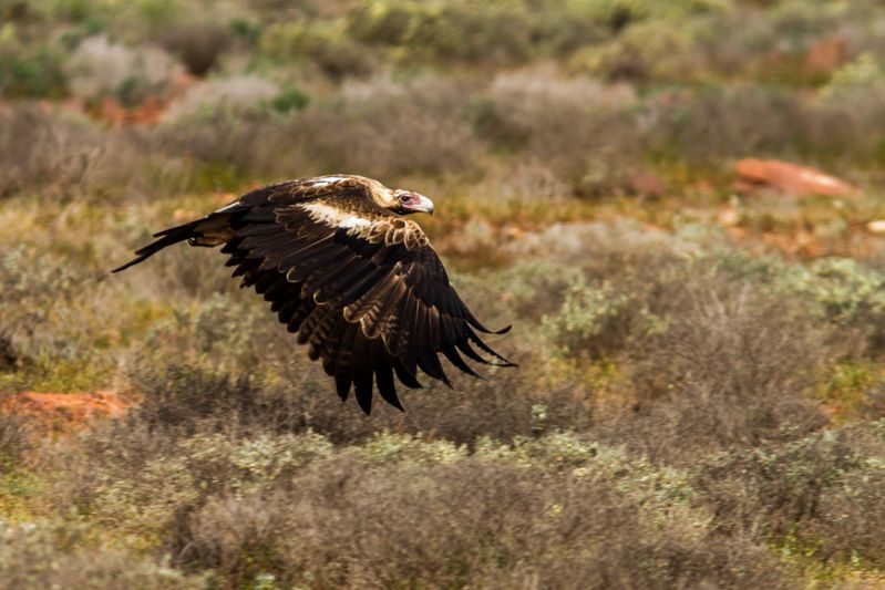 IMAGE: http://i1127.photobucket.com/albums/l628/aj4wd/GENERAL/7D016955_zps86eab2c5.jpg