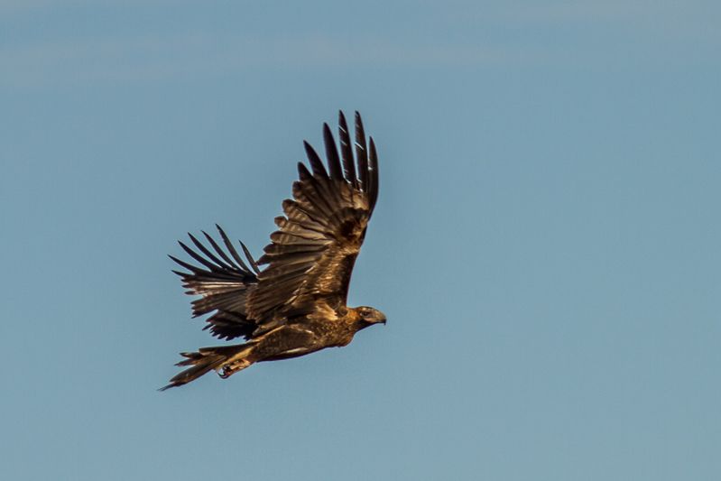 IMAGE: http://i1127.photobucket.com/albums/l628/aj4wd/GENERAL/7D017027_zps85a403a9.jpg