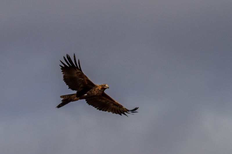 IMAGE: http://i1127.photobucket.com/albums/l628/aj4wd/GENERAL/7D017060_zpse2791027.jpg