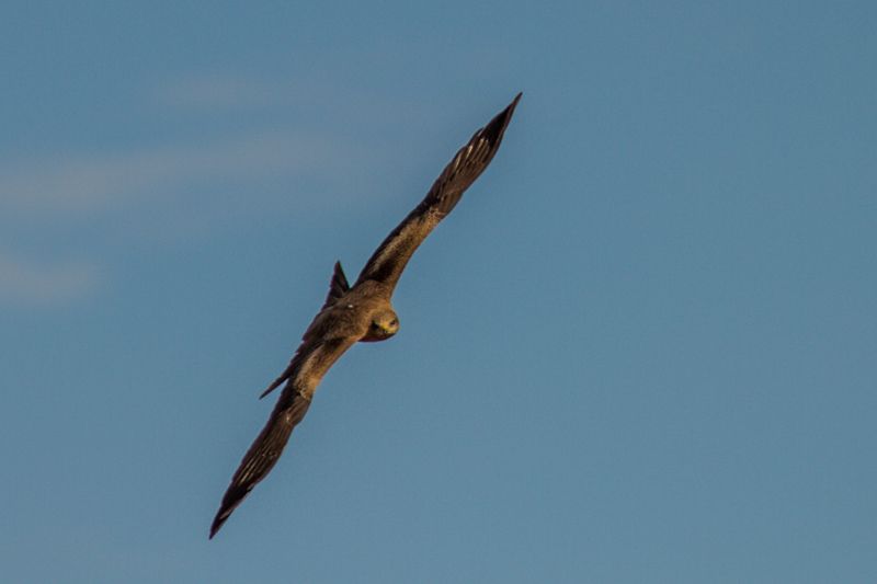 IMAGE: http://i1127.photobucket.com/albums/l628/aj4wd/GENERAL/7D017103_zps9c2b5bf6.jpg