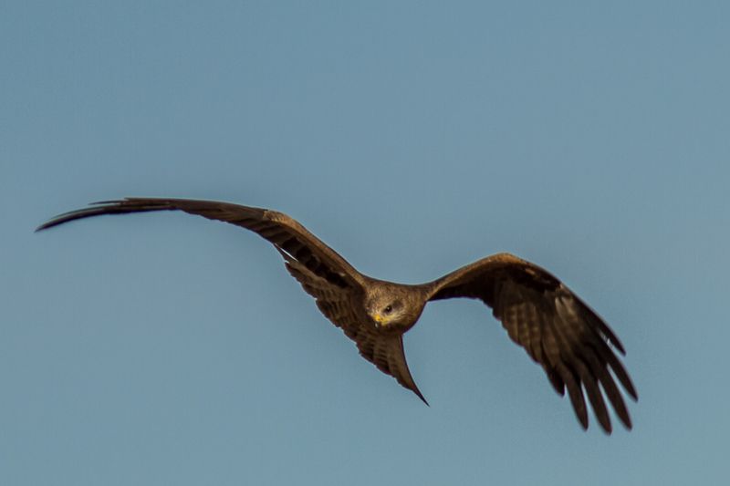 IMAGE: http://i1127.photobucket.com/albums/l628/aj4wd/GENERAL/7D017106_zps5113f537.jpg