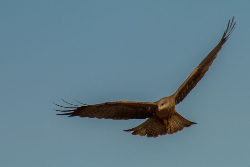 IMAGE: http://i1127.photobucket.com/albums/l628/aj4wd/GENERAL/7D017108_zpsc0a7d12b.jpg