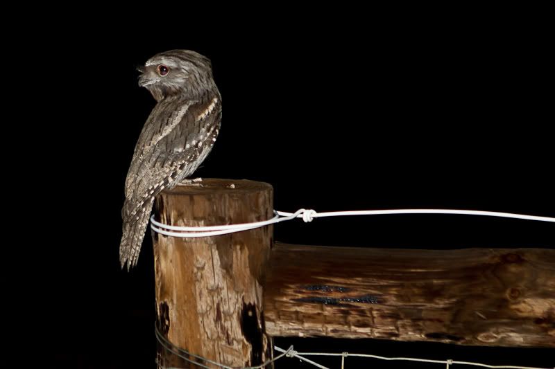 IMAGE: http://i1127.photobucket.com/albums/l628/aj4wd/GENERAL/IMG_0298.jpg