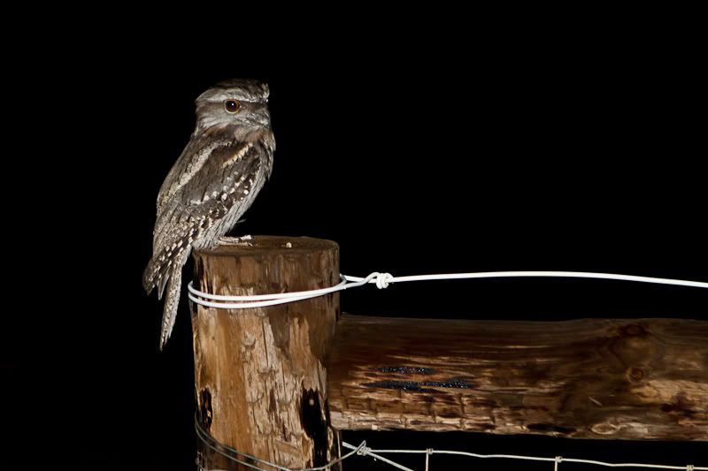 IMAGE: http://i1127.photobucket.com/albums/l628/aj4wd/GENERAL/IMG_0299.jpg