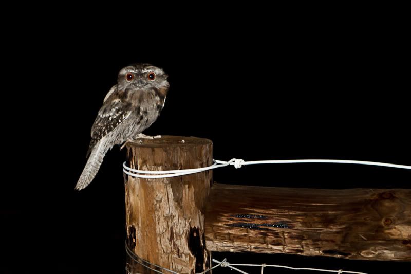 IMAGE: http://i1127.photobucket.com/albums/l628/aj4wd/GENERAL/IMG_0301.jpg