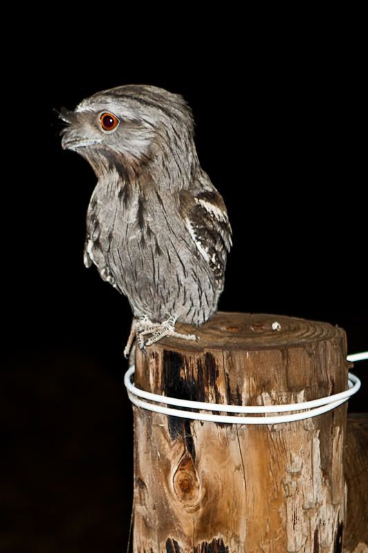 IMAGE: http://i1127.photobucket.com/albums/l628/aj4wd/GENERAL/IMG_0305.jpg