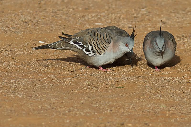 IMAGE: http://i1127.photobucket.com/albums/l628/aj4wd/GENERAL/IMG_0307.jpg