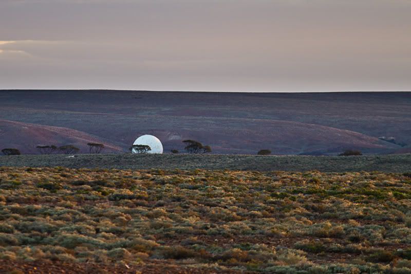 IMAGE: http://i1127.photobucket.com/albums/l628/aj4wd/GENERAL/IMG_0316.jpg