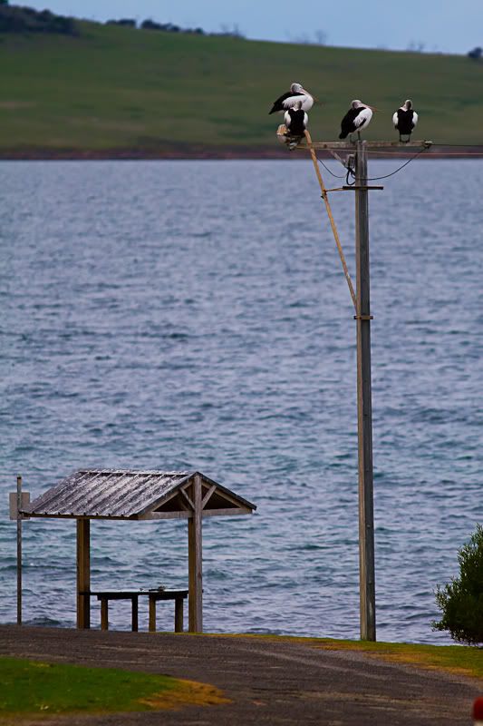 IMAGE: http://i1127.photobucket.com/albums/l628/aj4wd/GENERAL/IMG_10192.jpg