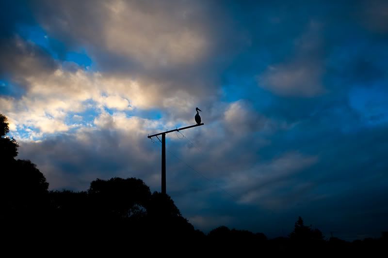 IMAGE: http://i1127.photobucket.com/albums/l628/aj4wd/GENERAL/IMG_1433.jpg