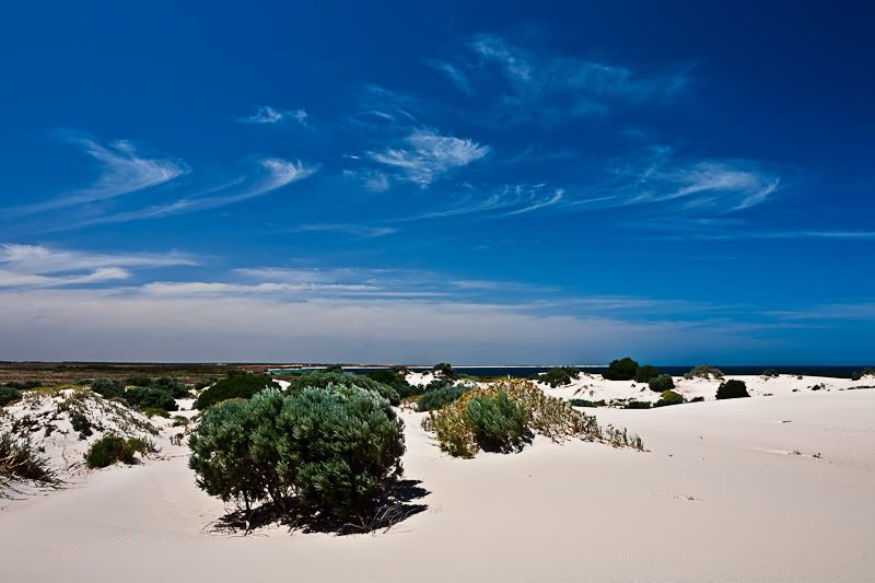 IMAGE: http://i1127.photobucket.com/albums/l628/aj4wd/GENERAL/IMG_5461.jpg