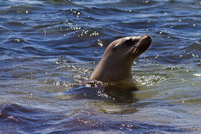 IMAGE: http://i1127.photobucket.com/albums/l628/aj4wd/GENERAL/IMG_6371.jpg