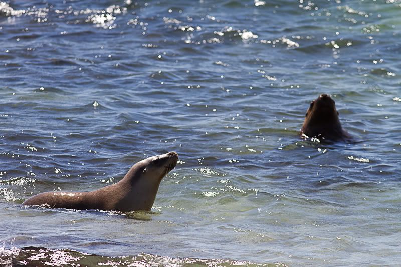 IMAGE: http://i1127.photobucket.com/albums/l628/aj4wd/GENERAL/IMG_6382.jpg