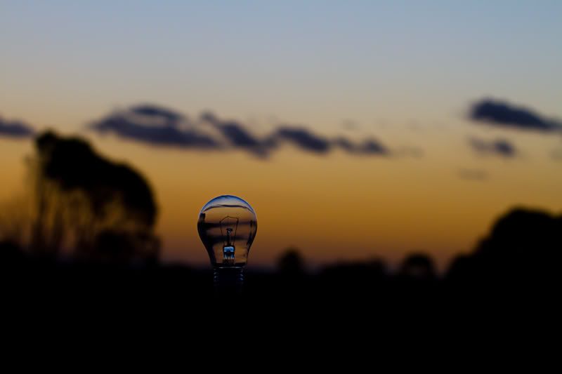 IMAGE: http://i1127.photobucket.com/albums/l628/aj4wd/GENERAL/IMG_6455.jpg