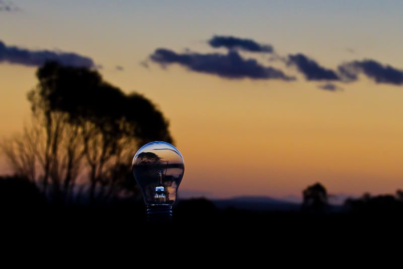 IMAGE: http://i1127.photobucket.com/albums/l628/aj4wd/GENERAL/IMG_6463-7.jpg