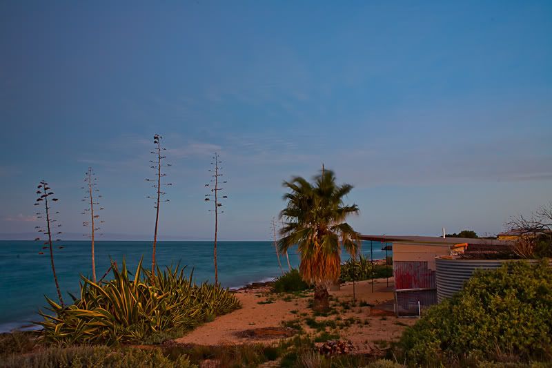 IMAGE: http://i1127.photobucket.com/albums/l628/aj4wd/GENERAL/IMG_7447.jpg