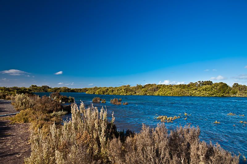 IMAGE: http://i1127.photobucket.com/albums/l628/aj4wd/GENERAL/IMG_7529.jpg