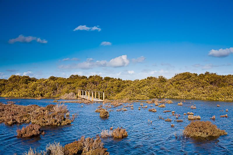 IMAGE: http://i1127.photobucket.com/albums/l628/aj4wd/GENERAL/IMG_7532.jpg