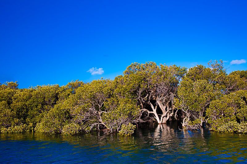 IMAGE: http://i1127.photobucket.com/albums/l628/aj4wd/GENERAL/IMG_7540.jpg