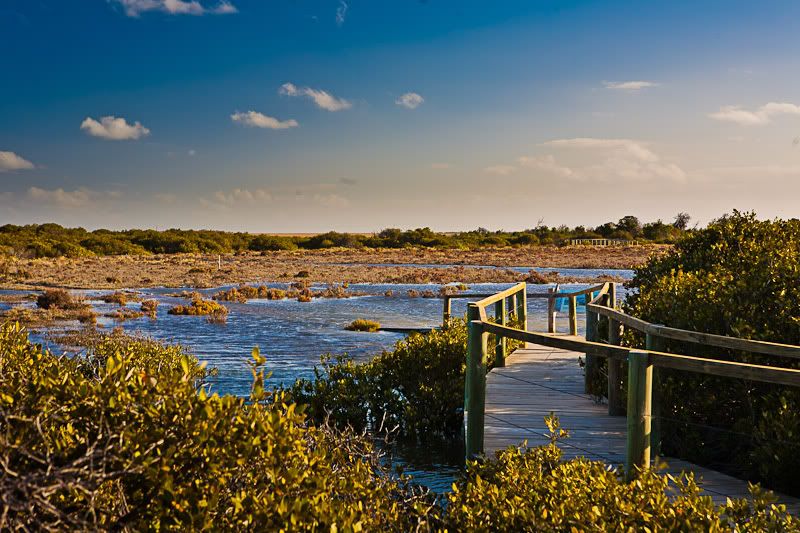 IMAGE: http://i1127.photobucket.com/albums/l628/aj4wd/GENERAL/IMG_7544.jpg