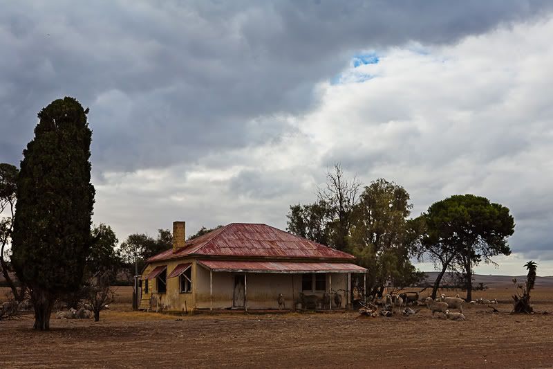 IMAGE: http://i1127.photobucket.com/albums/l628/aj4wd/GENERAL/IMG_7651.jpg