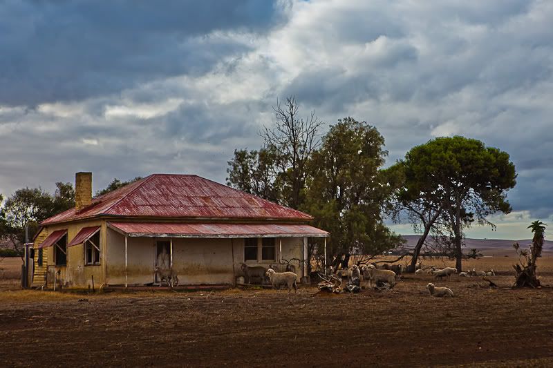 IMAGE: http://i1127.photobucket.com/albums/l628/aj4wd/GENERAL/IMG_7667.jpg