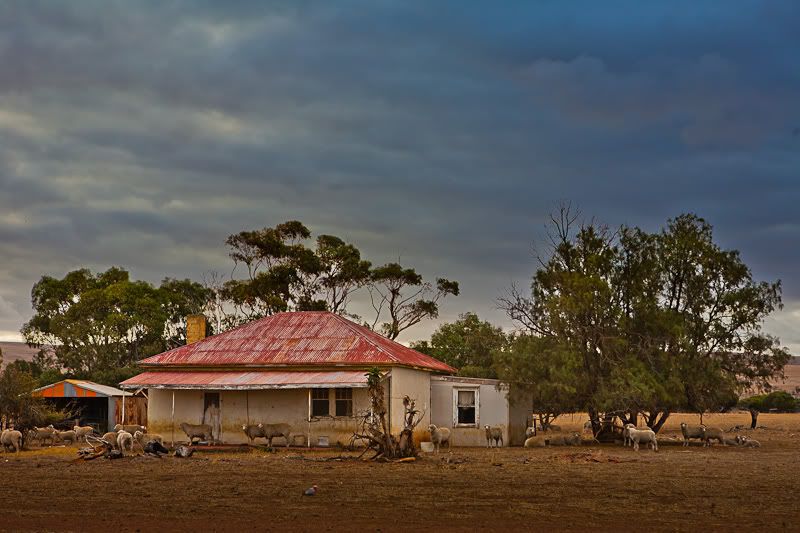 IMAGE: http://i1127.photobucket.com/albums/l628/aj4wd/GENERAL/IMG_7682.jpg