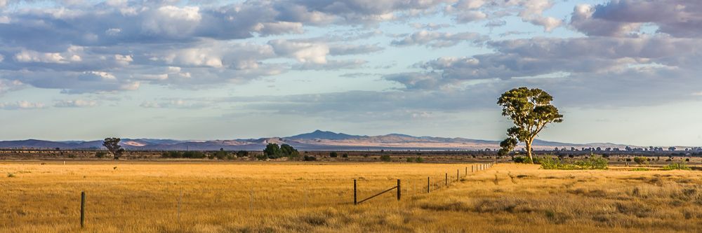 IMAGE: http://i1127.photobucket.com/albums/l628/aj4wd/bendleby/IMG_4009_zps944a88d9.jpg