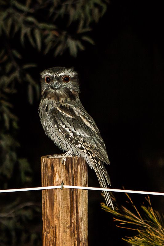 IMAGE: http://i1127.photobucket.com/albums/l628/aj4wd/stuff/7D014795_zpsc534c7a7.jpg