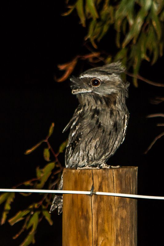 IMAGE: http://i1127.photobucket.com/albums/l628/aj4wd/stuff/7D014796_zps099eee92.jpg