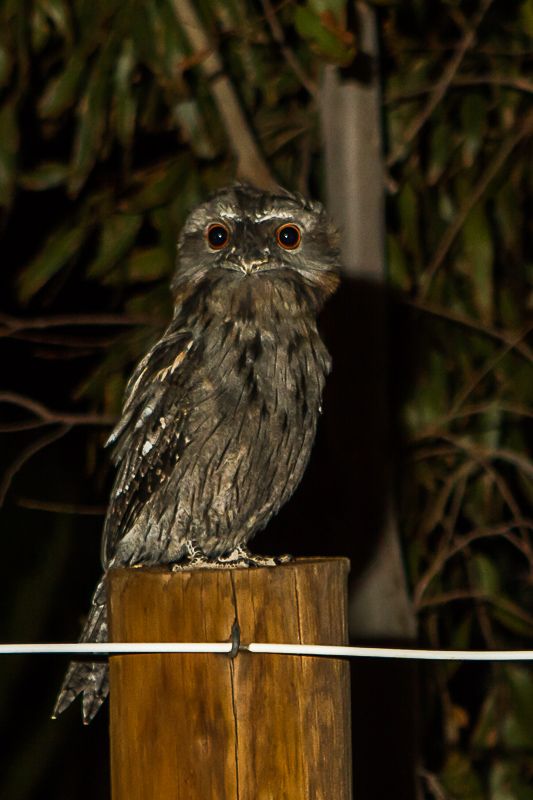 IMAGE: http://i1127.photobucket.com/albums/l628/aj4wd/stuff/7D014798_zpsecd3fda2.jpg