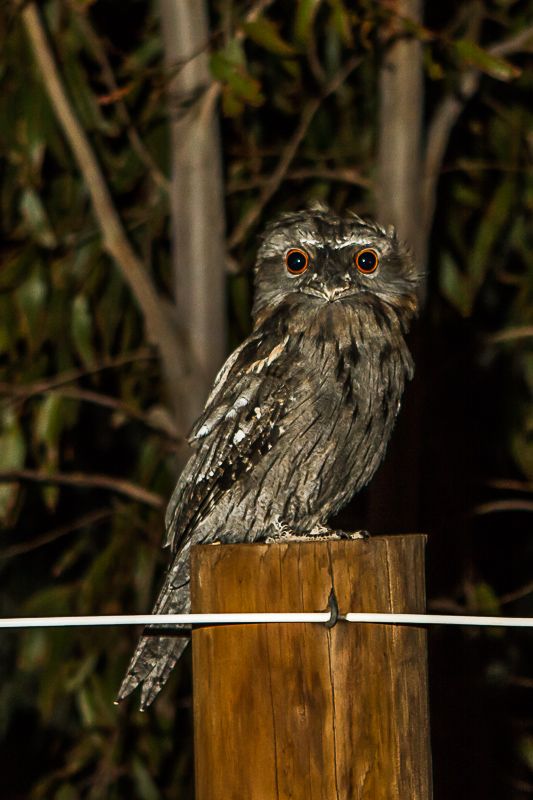 IMAGE: http://i1127.photobucket.com/albums/l628/aj4wd/stuff/7D014801_zpsa18e14ee.jpg