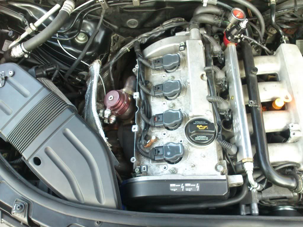DSC_0006.jpg