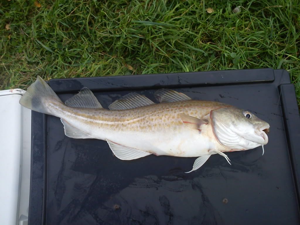 DSC00087-2.jpg