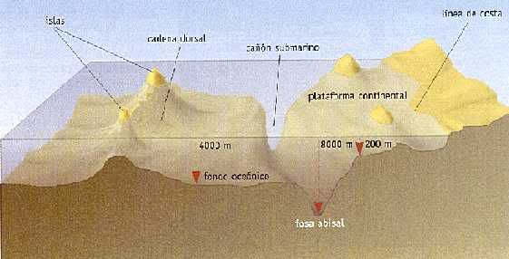 El fondo del oceano