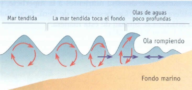oceano