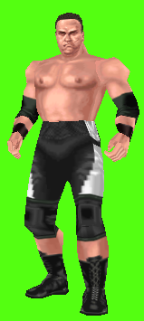 CZW1.png