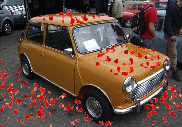 Rosepetals_zpscac992ce.jpg