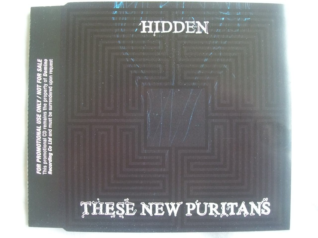 These New Puritans - Hidden