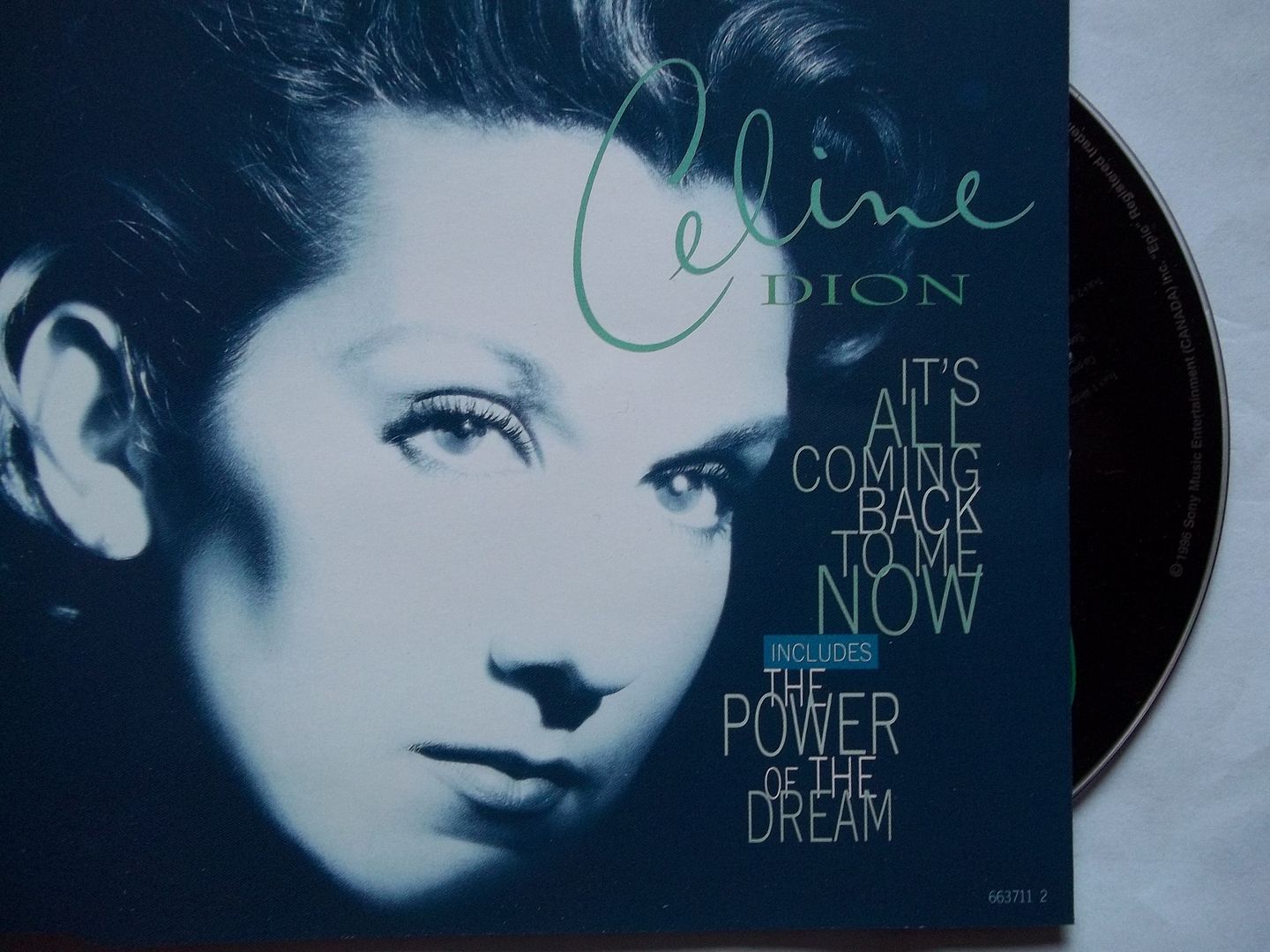 It's All Coming Back To Me Now - Celine Dion