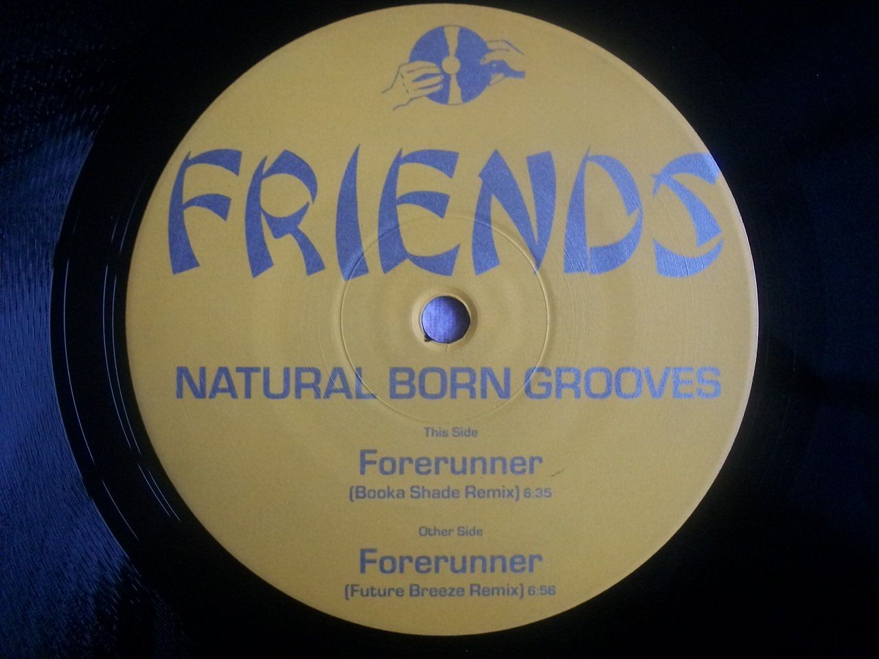 Natural Born Grooves - Forerunner EP