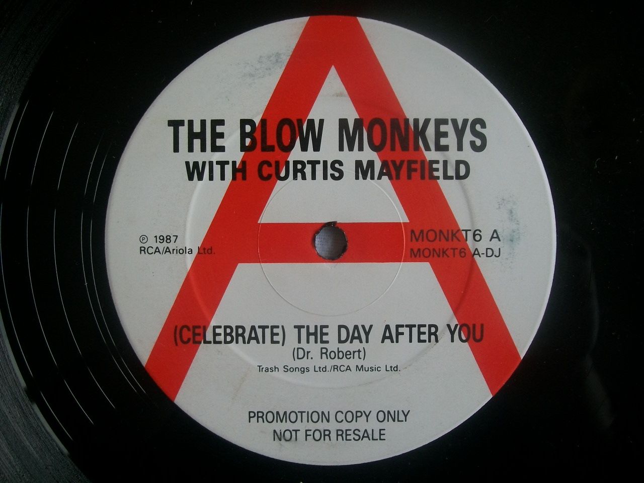 Blow Monkeys with Curtis Mayfield - Celebrate The Day After You) Record