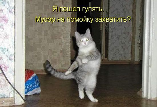 http://i1127.photobucket.com/albums/l633/ulitoknet/fun/cat7.jpg