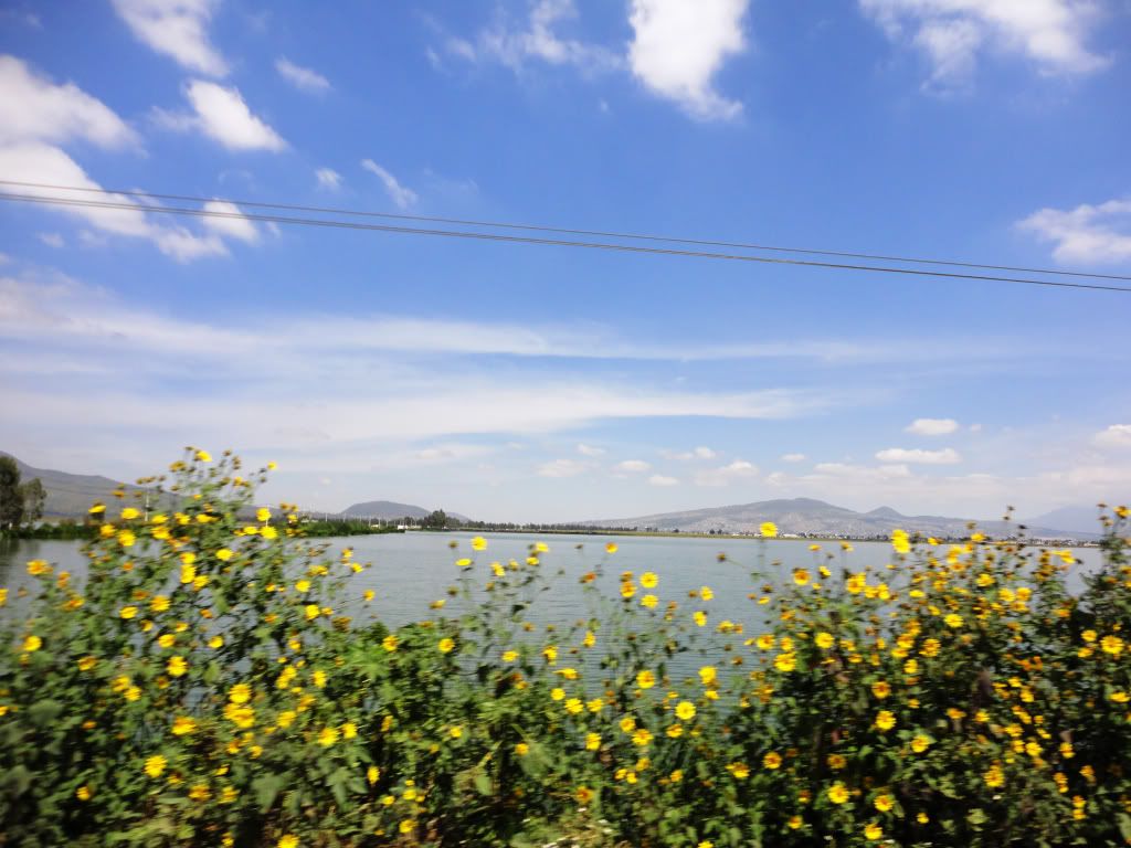fotografia fotografia