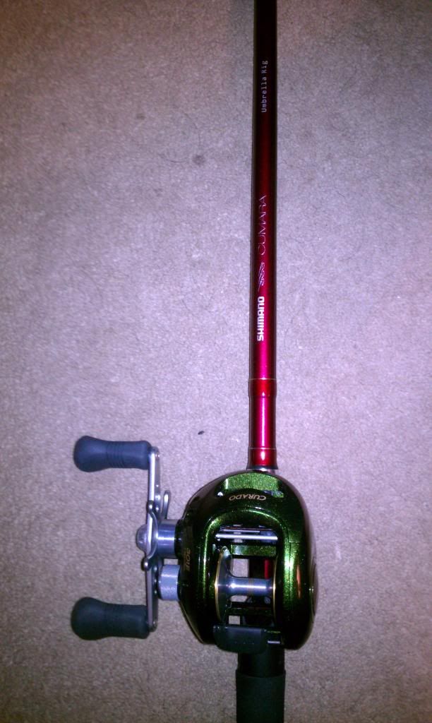 alabama rig rod and reel setup