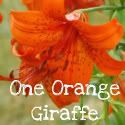 One Orange Giraffe