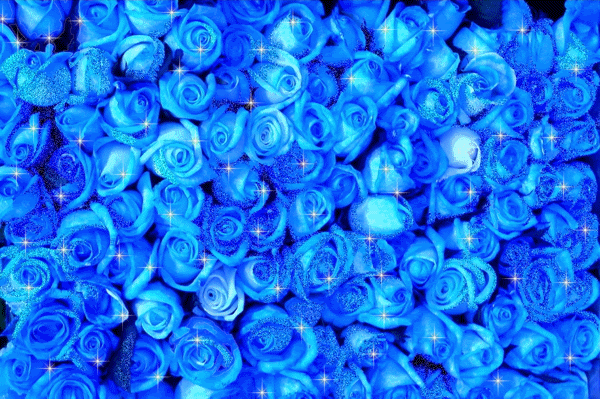 blue-rose-glitter-animated.gif