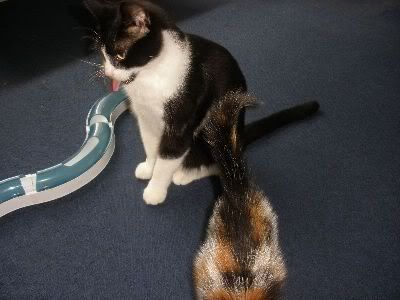 1306670853N6.jpg