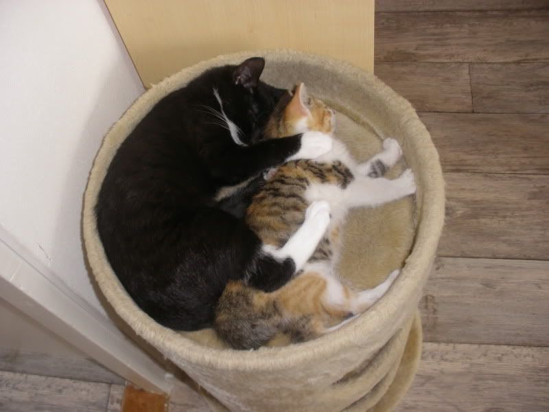 P9251948.jpg