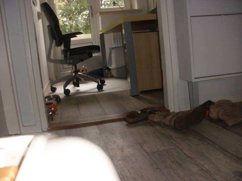 PA052159.jpg